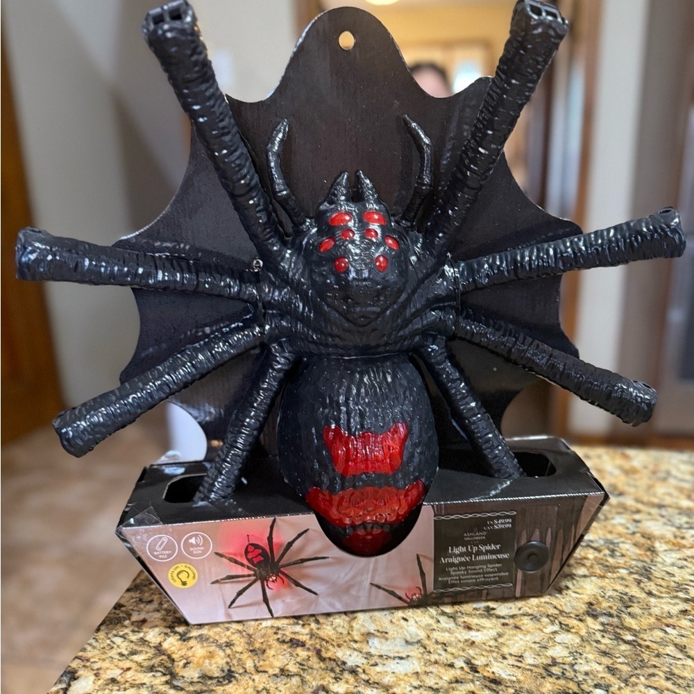 Ashland Black and Red Light-Up Spider new